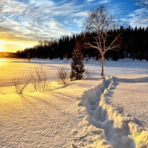 Snježni odmor u Bohinjskoj bistri na Vogelu