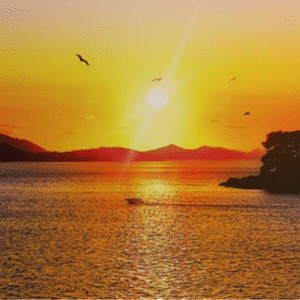 Dubrovnik živi svoju povijest